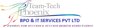 Team-Tech Phoenix Services Pvt Ltd
